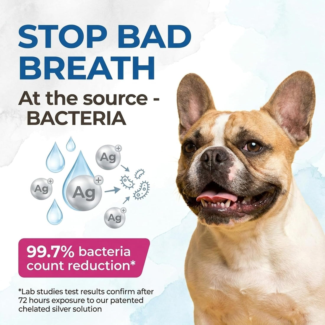 Dog Breath Freshener Spray, Natural Dog Dental Spray, Antibiotic Free
