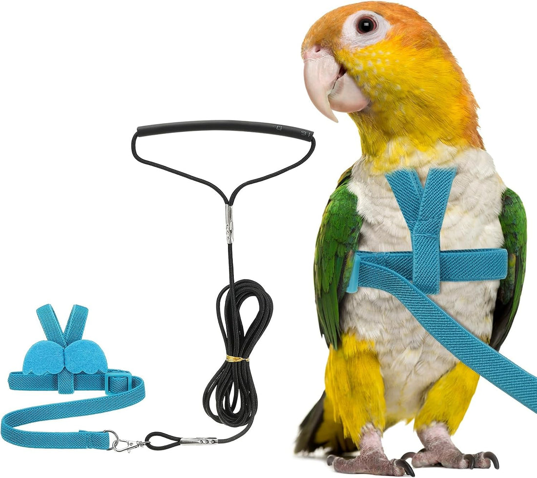 Adjustable Bird Harness Leash, Anti-Bite, S, Green