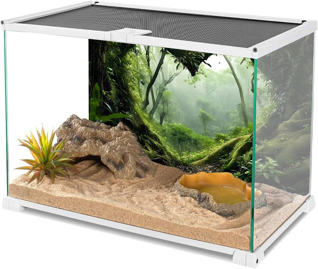 30x18 in Green Tree Reptile Habitat Background Rainforest Aquarium