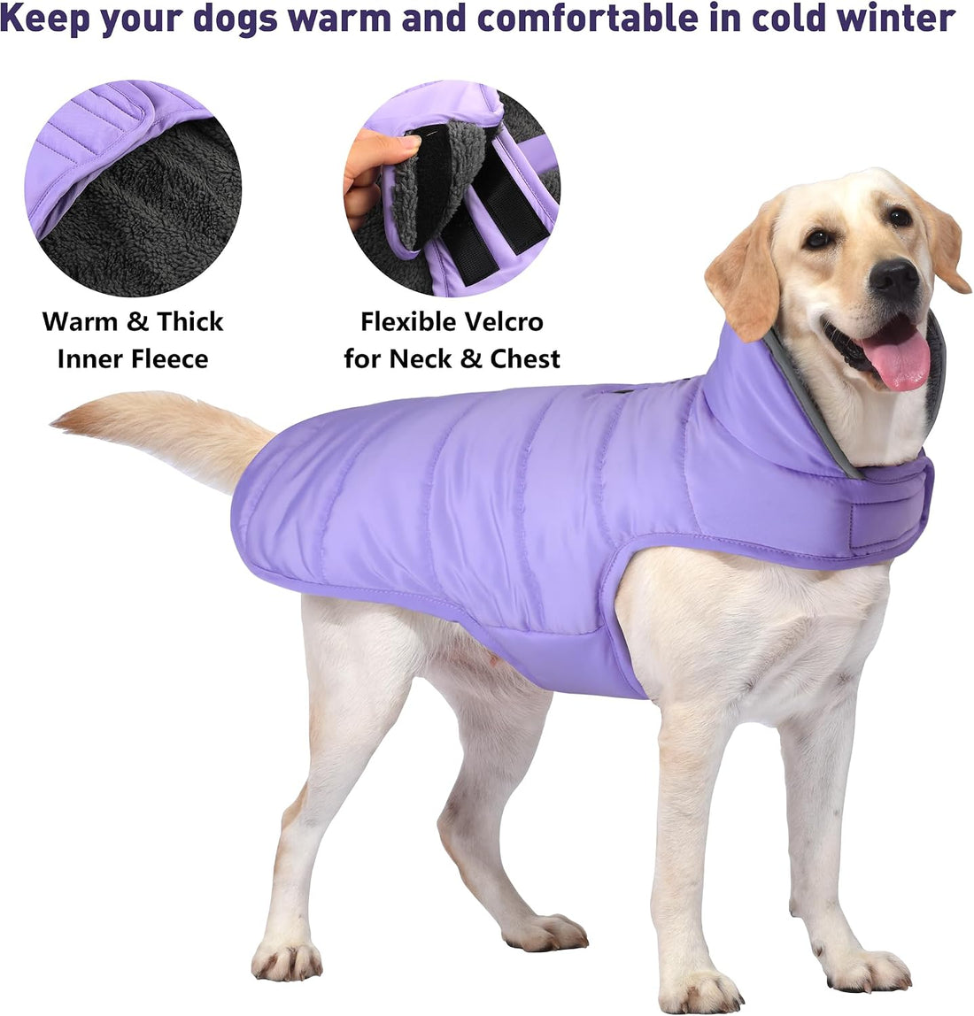Petglad Waterproof Dog Winter Coat