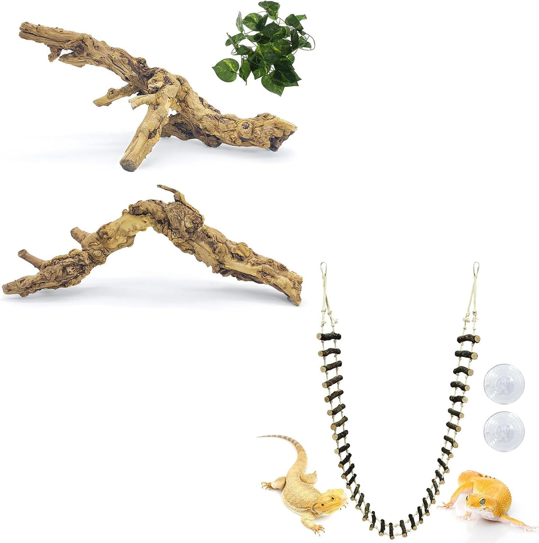 VCEPJH 2 Pack Reptile Wood Branches