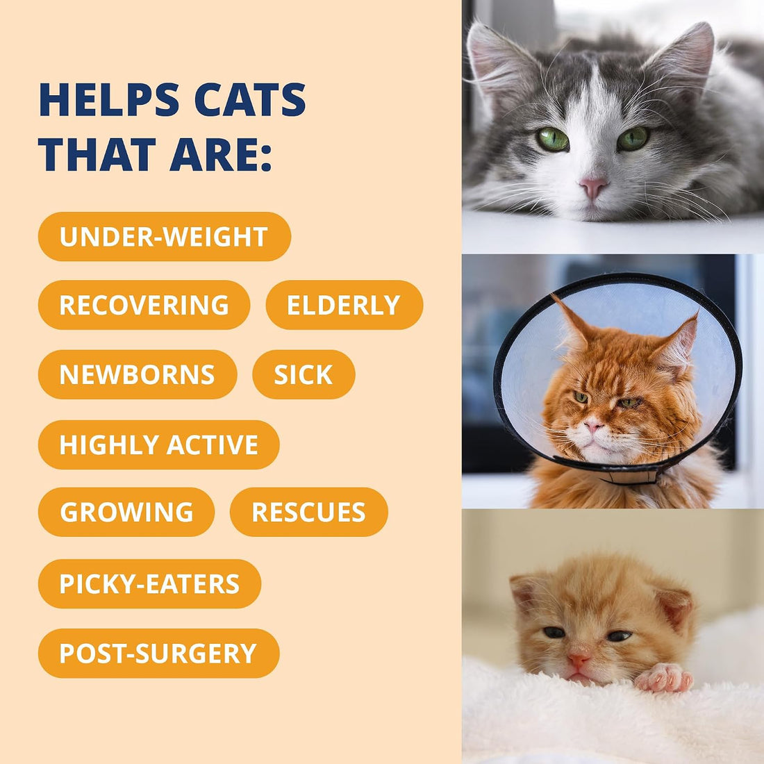Under the Weather Pet Electrolytes Ready Cal Plus Gel for Cats