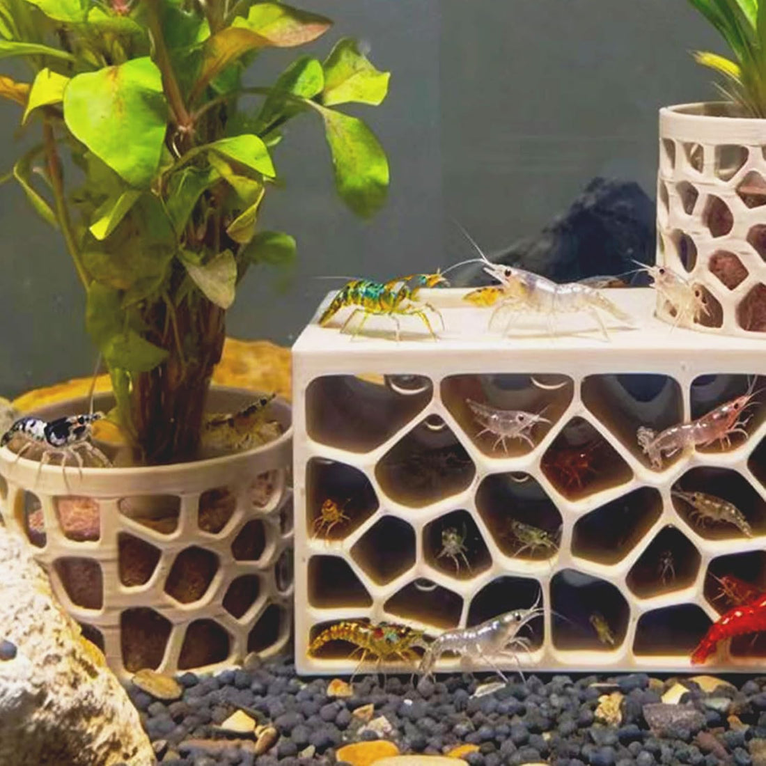 Porous Aquarium Shrimp Hideout with 2 Plant Cups