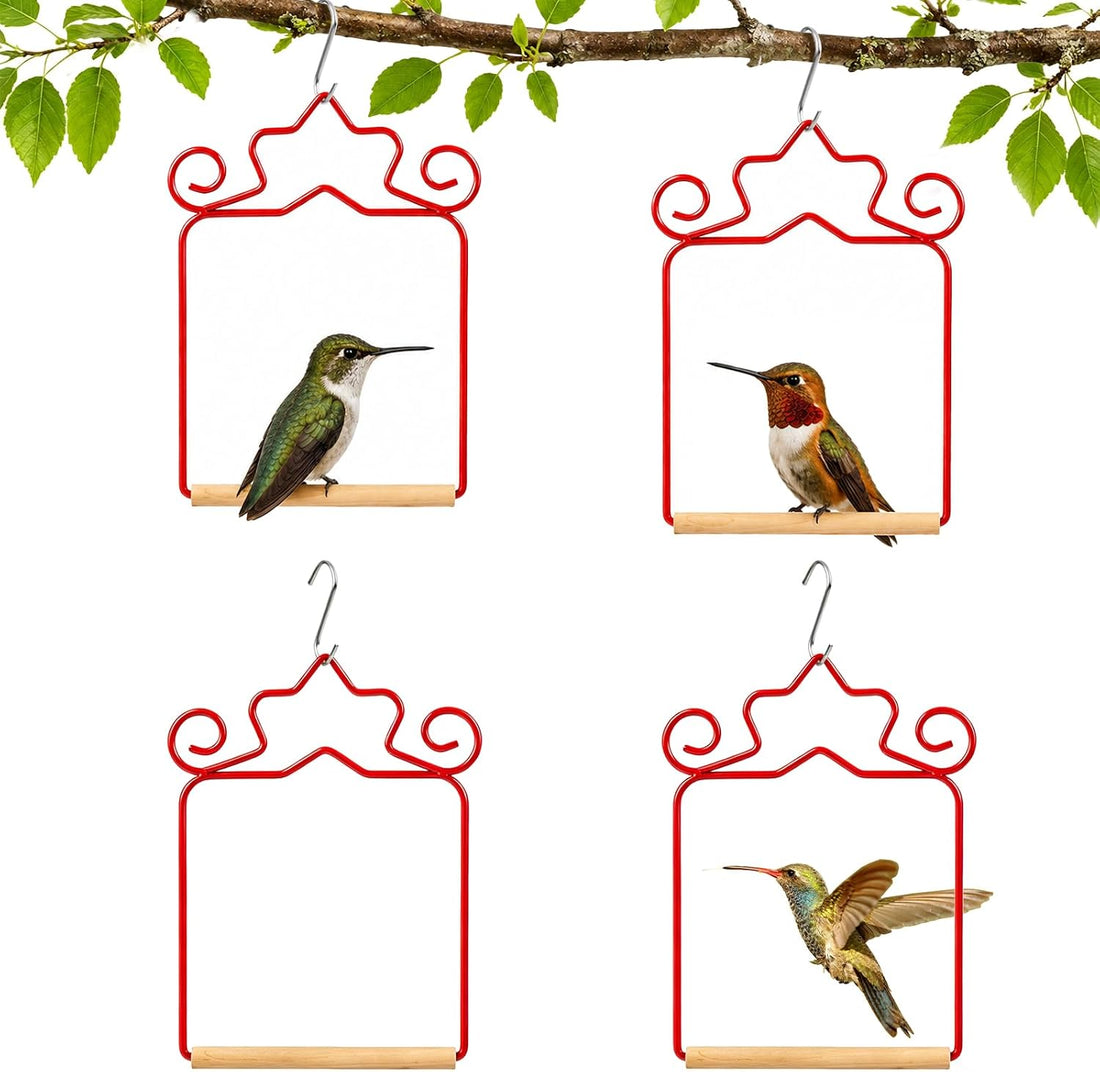 Metal Hummingbird Swing Set of 4