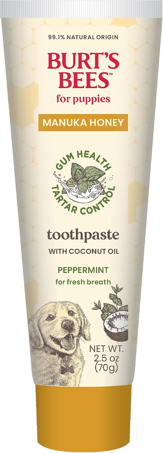 Burt's Bees Manuka Honey Fresh Mint Dog Dental Kit, 2.5 Oz