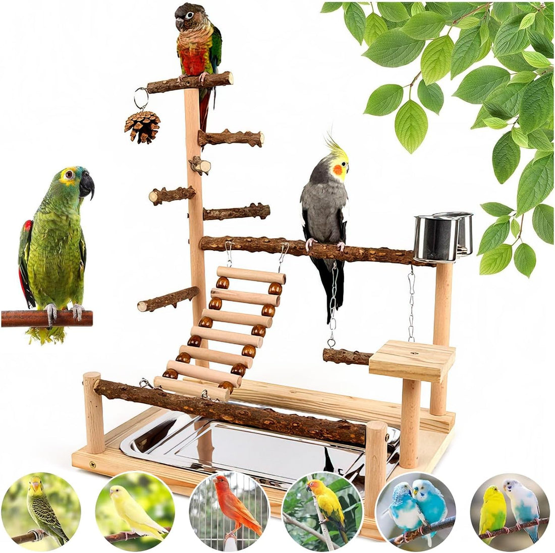 Bird Playground, Parrot Perch Stand