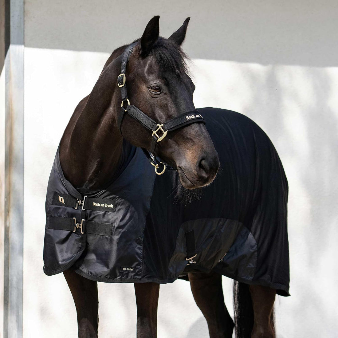 Back on Track Royal Mesh Sheet Deluxe Horse Blanket