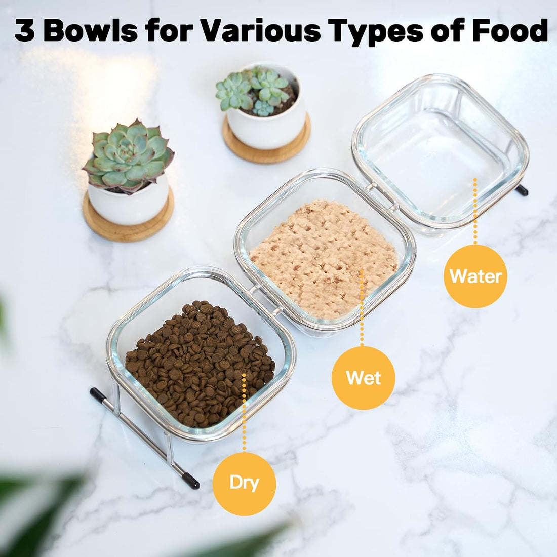 Elevated Cat Bowls, 15° Tilted Glass Raised Cat Food and Water Bowl