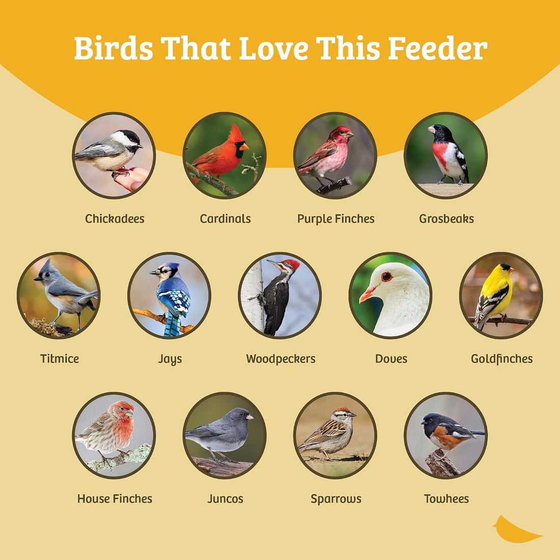 Birds Choice 21-1/2X21-1/2 Seed Catcher Open Platform