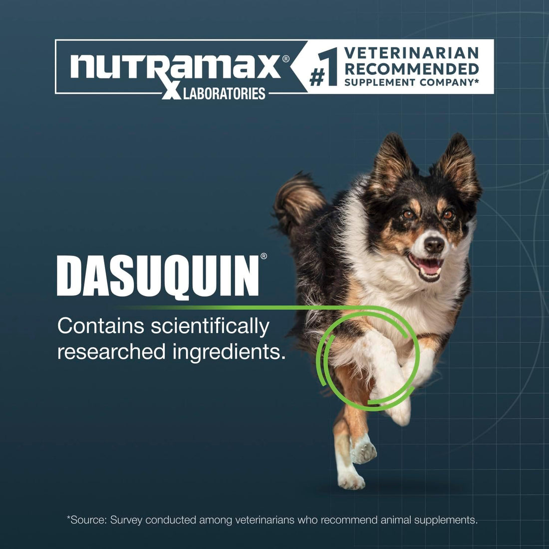 Nutramax Dasuquin for Large Dogs, Joint Health Supplement