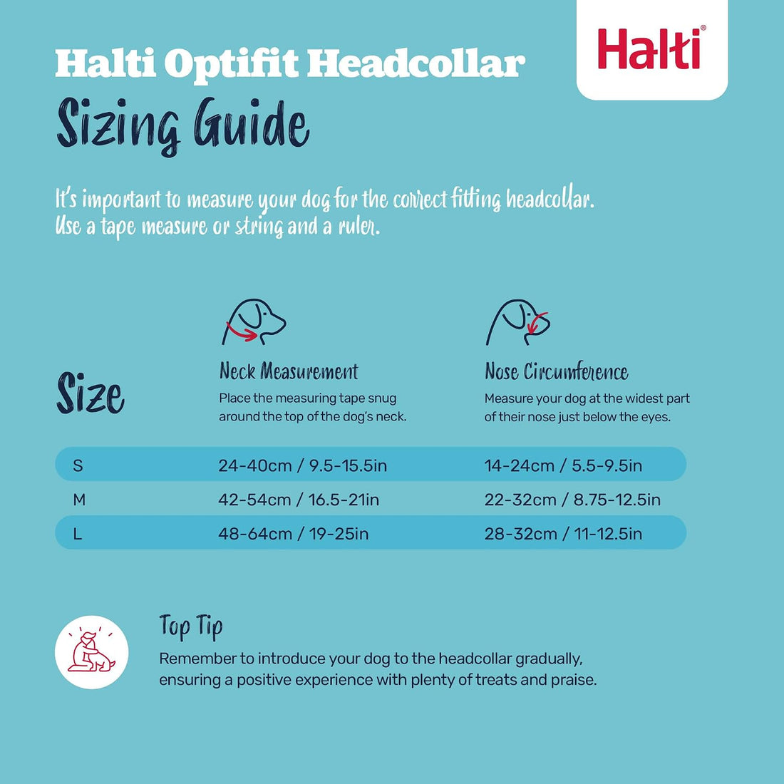 Halti Optifit Headcollar & Training Leash Bundle