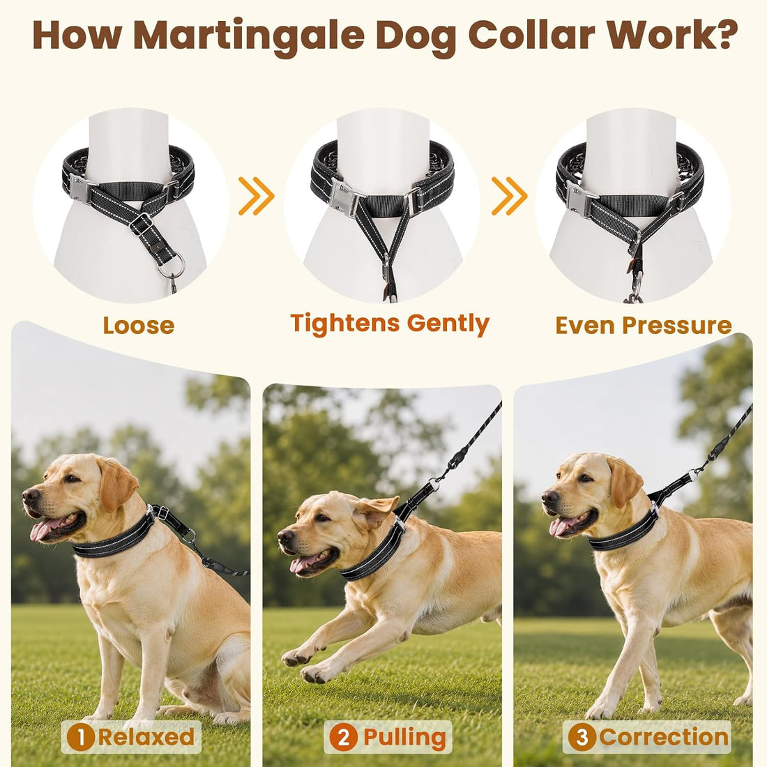 Mayerzon No Pull Collar with Alloy Buckle for Large Dogs that Pull