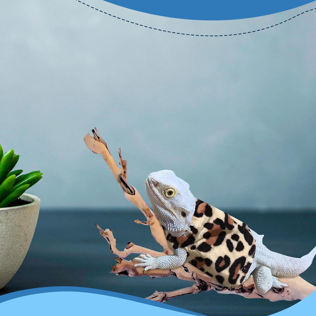 Lizard Clothes Bearded Dragon Hoodie Sweater Jacket Small Pet Costume