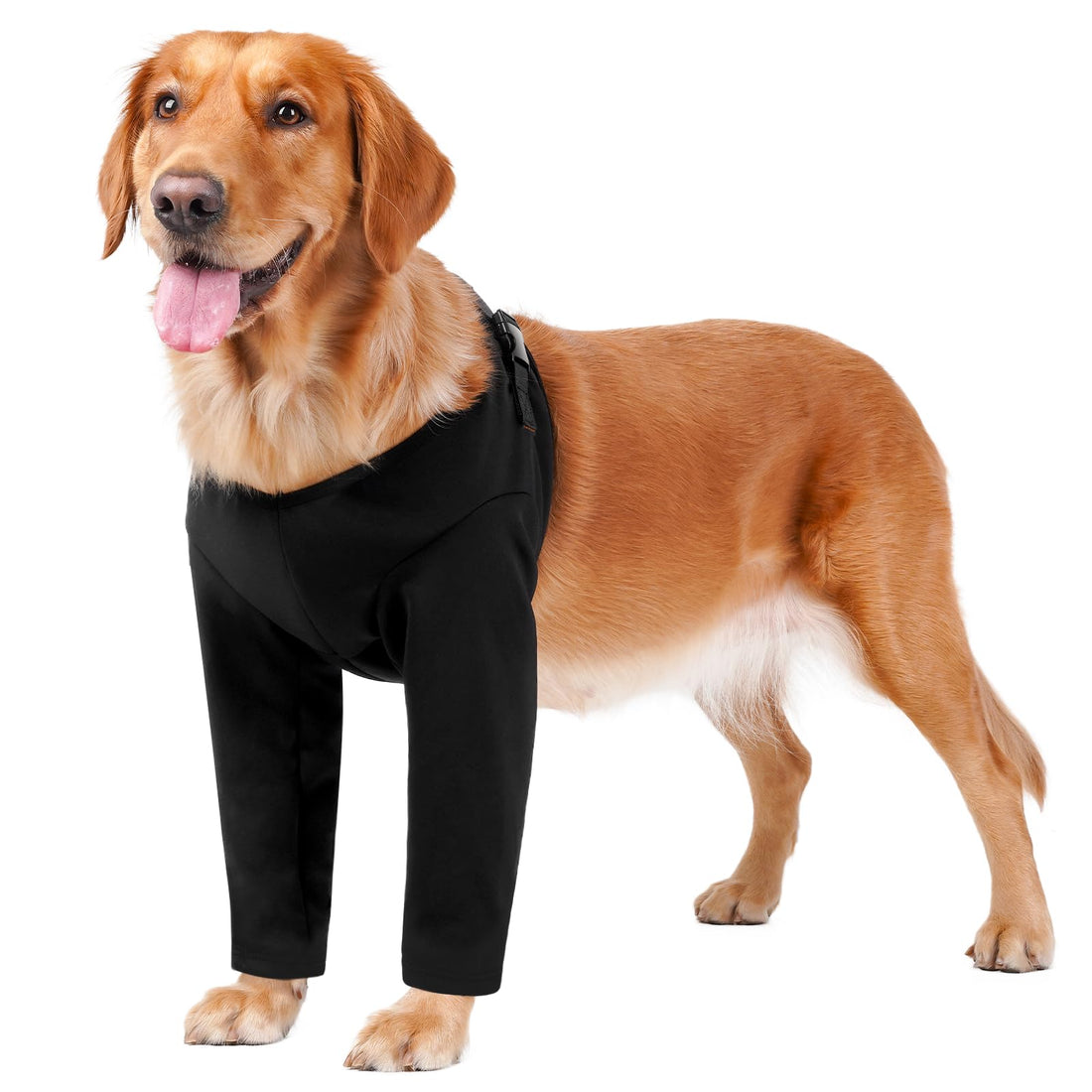 BARKLESS Dog Surgery Recovery Suit for Front Leg