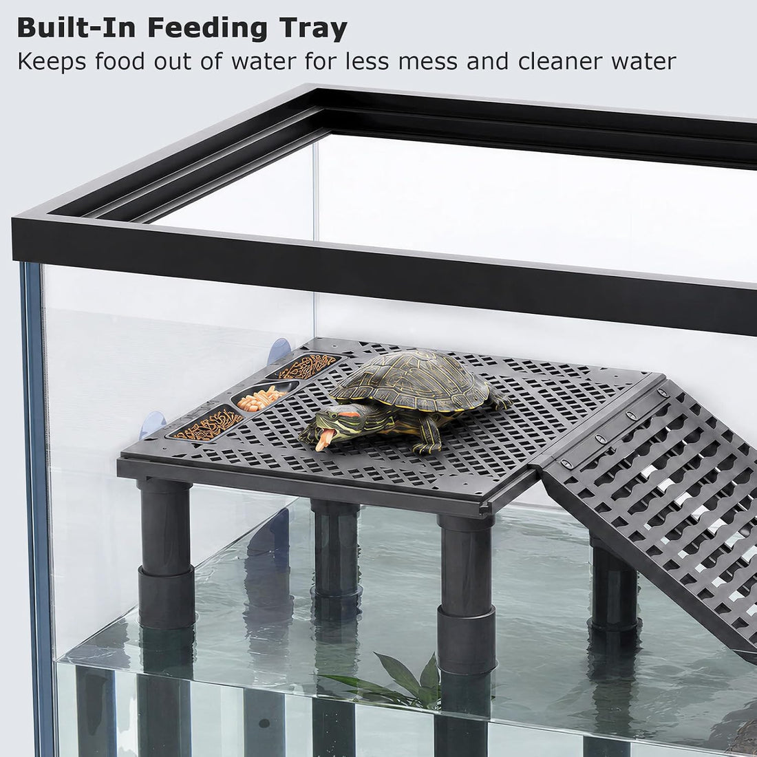 Upgraded Standing Turtle Basking Platform with Ramp