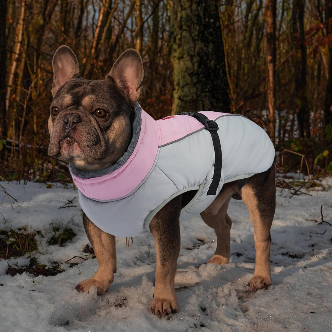 IECOii Extra Warm Dog Jackets for Large Dogs