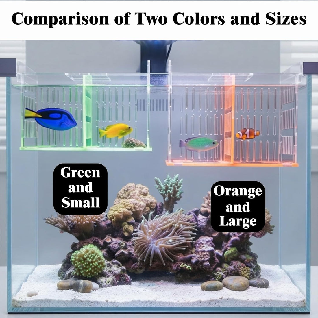 Fish Tank Divider & Breeder Box, Acrylic Aquarium Isolation Hatchery