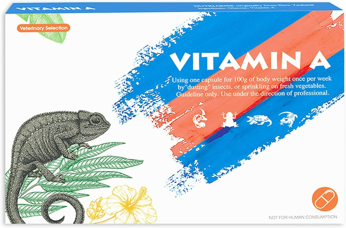 Reptile Vitamin A Supplement, Focused Formula