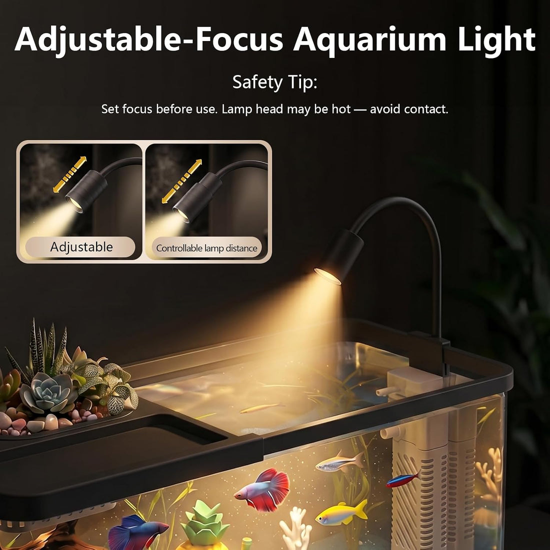 5 Gallon Fish Tank Aquarium Starter Kit with Filter and Light