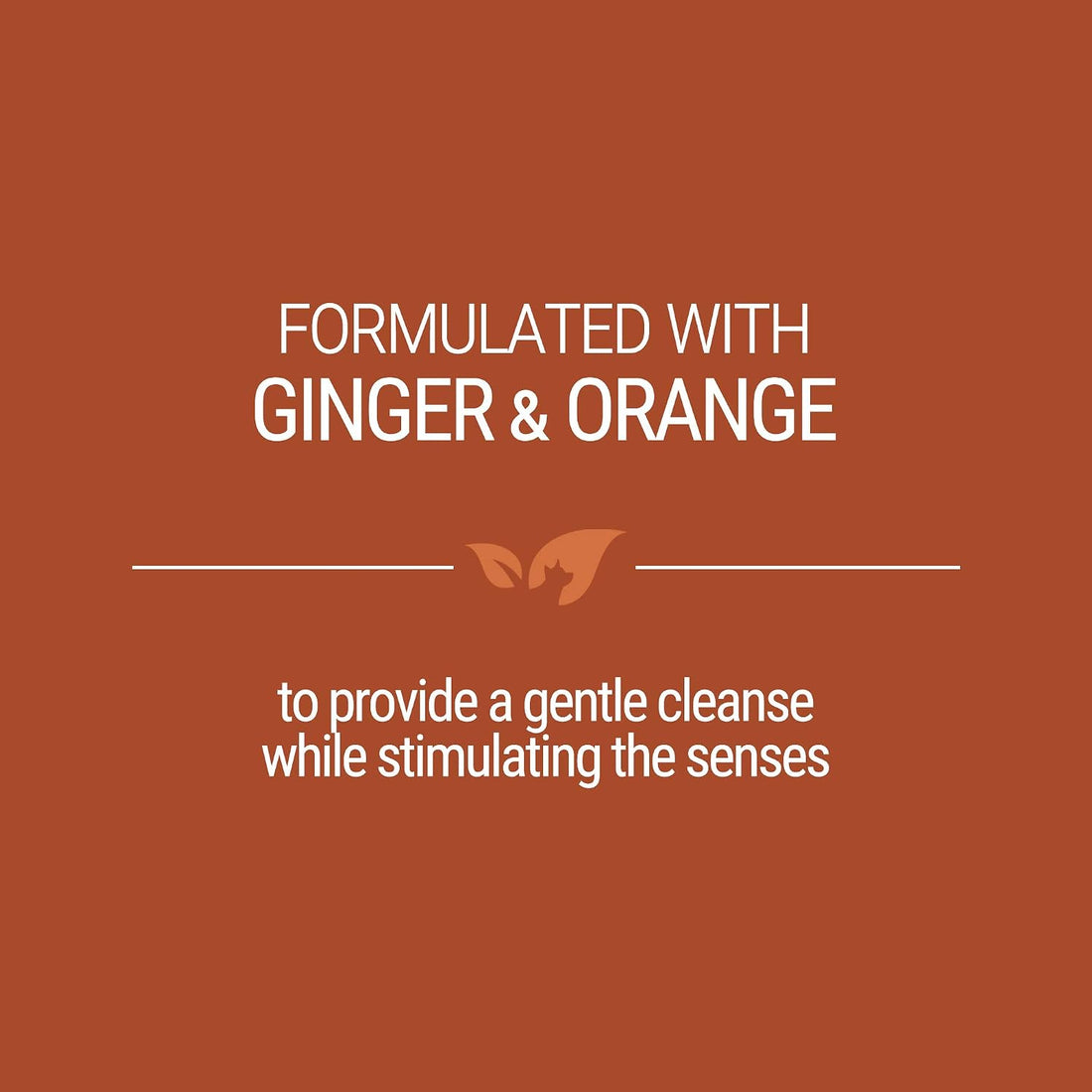 Green Groom Ginger Orange Aromatherapy Calming Dog Shampoo, 1 Gallon