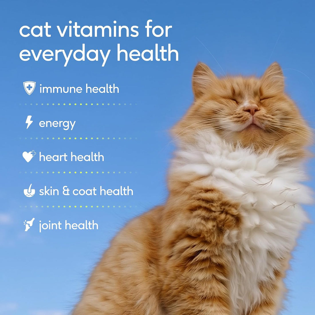 Native Pet Cat Multivitamin - Chicken Flavored Cat Vitamins