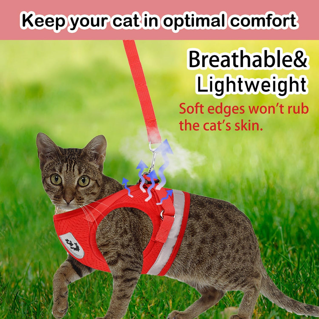 Cat Harnesses and Puppy Harness with Leashes Set