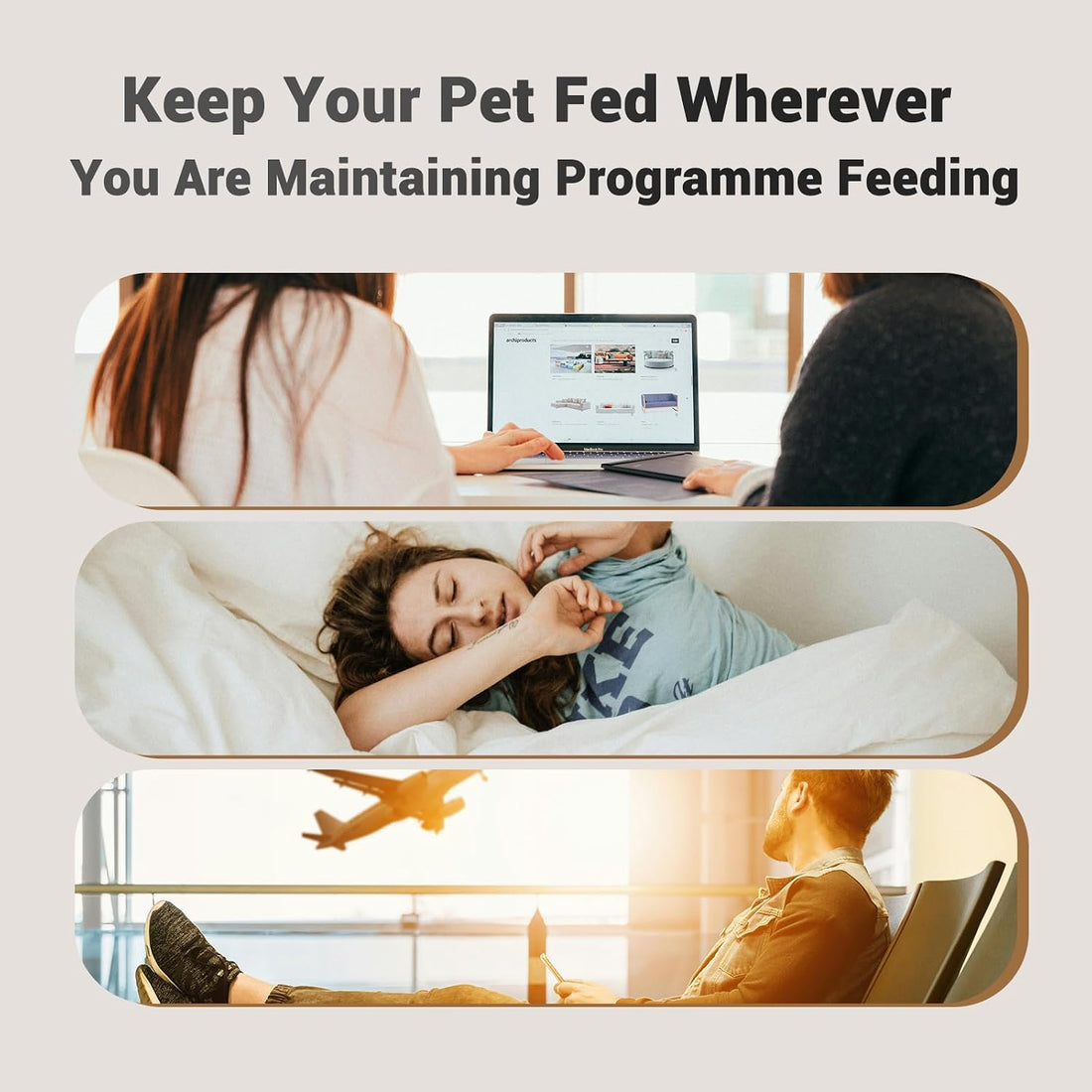 PETULTRA Automatic Cat Feeder