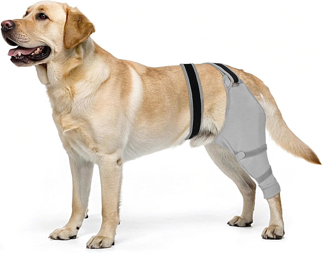 Dog Rear Leg Sleeve to Stop Licking