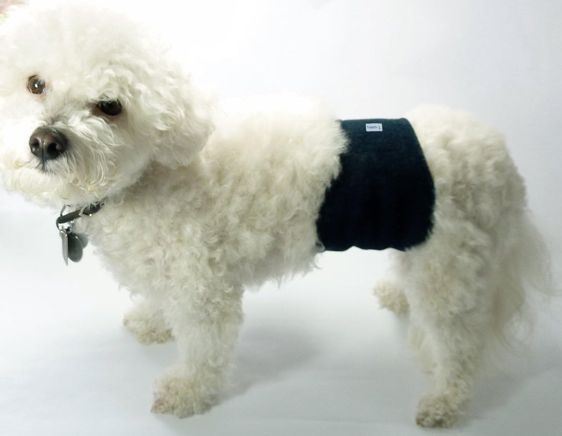 Teamoy Reusable Wrap Diapers for Male Dogs