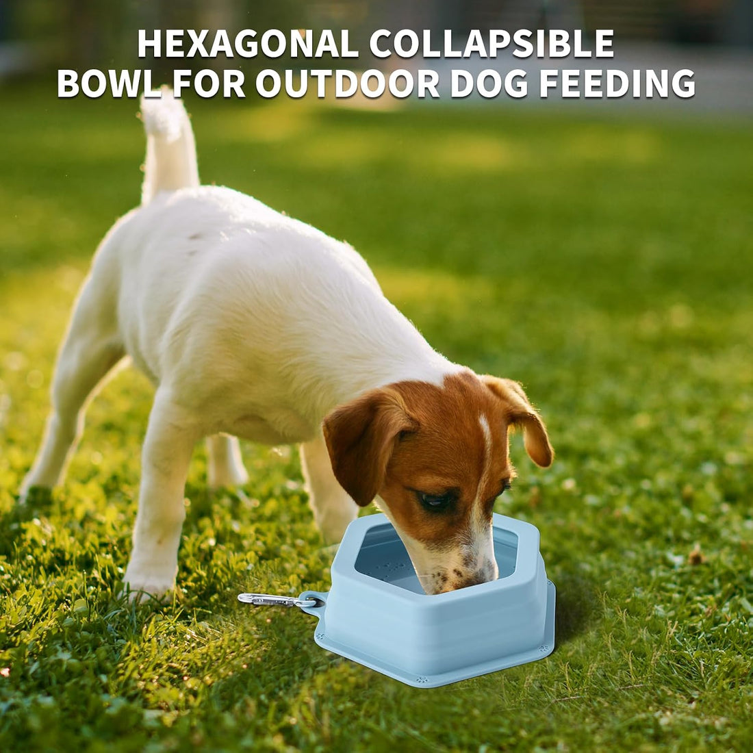 No Splash Dog Travel Bowls for Cars