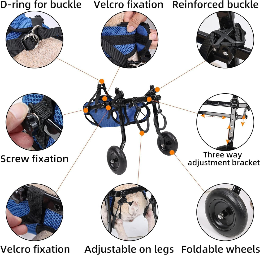 Dog Wheelchair for Back Legs, Adjustable Support for Small Dogs, M