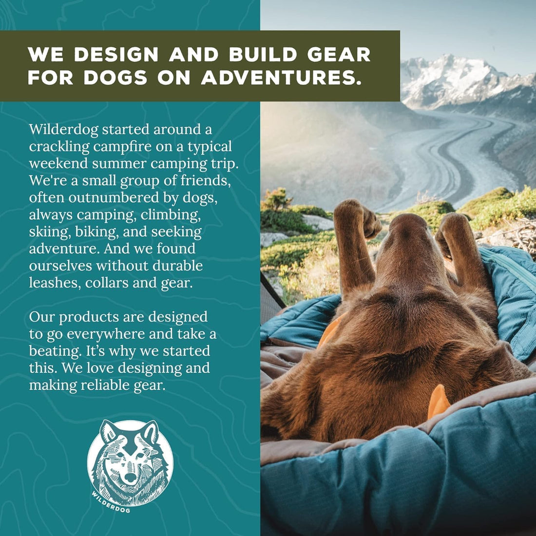 Wilderdog Lightweight Dog Harness with Reflective Straps - Medium