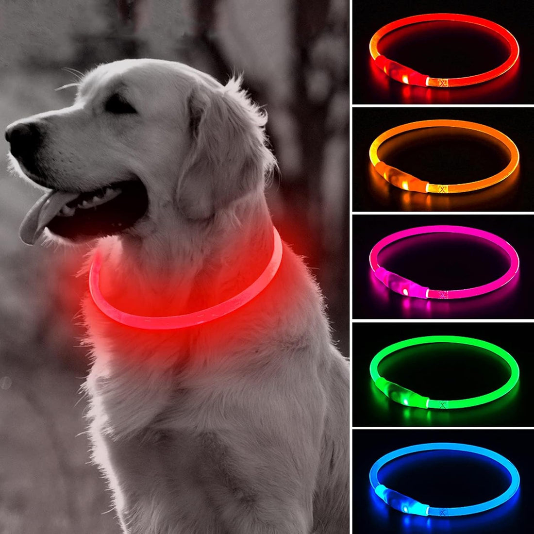 BSEEN Light Up Dog Collar (Green 70cm)