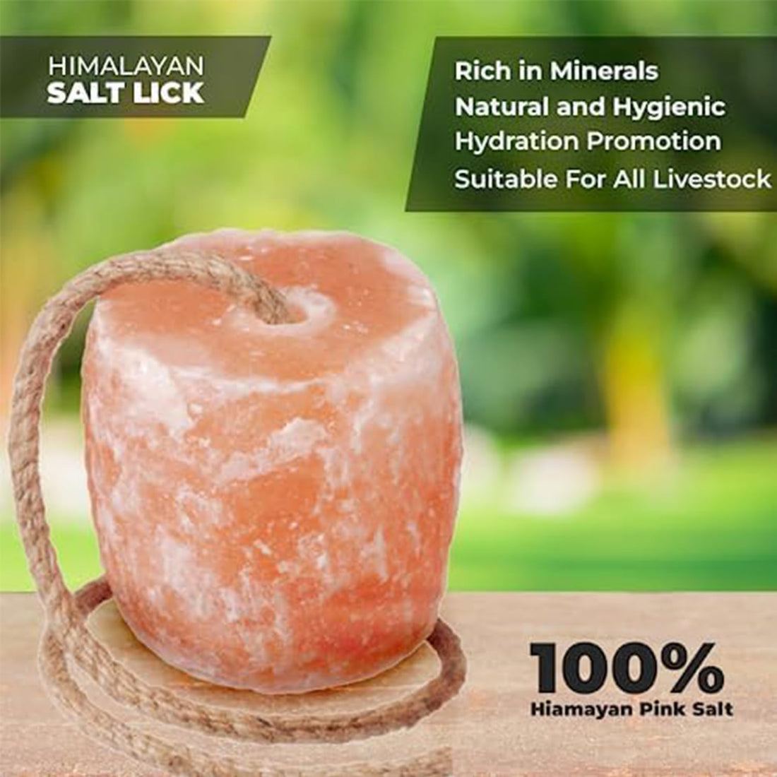 6β7 lbs Himalayan Salt Lick Block for Horses and Deer on Rope β