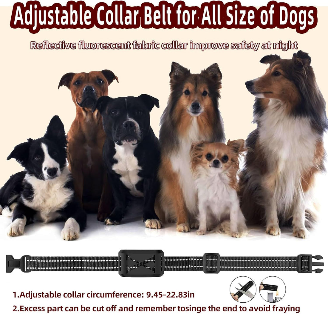 Wireless Dog Fence System for 2 Dogs, 2-in-1 Fence & Training Collar