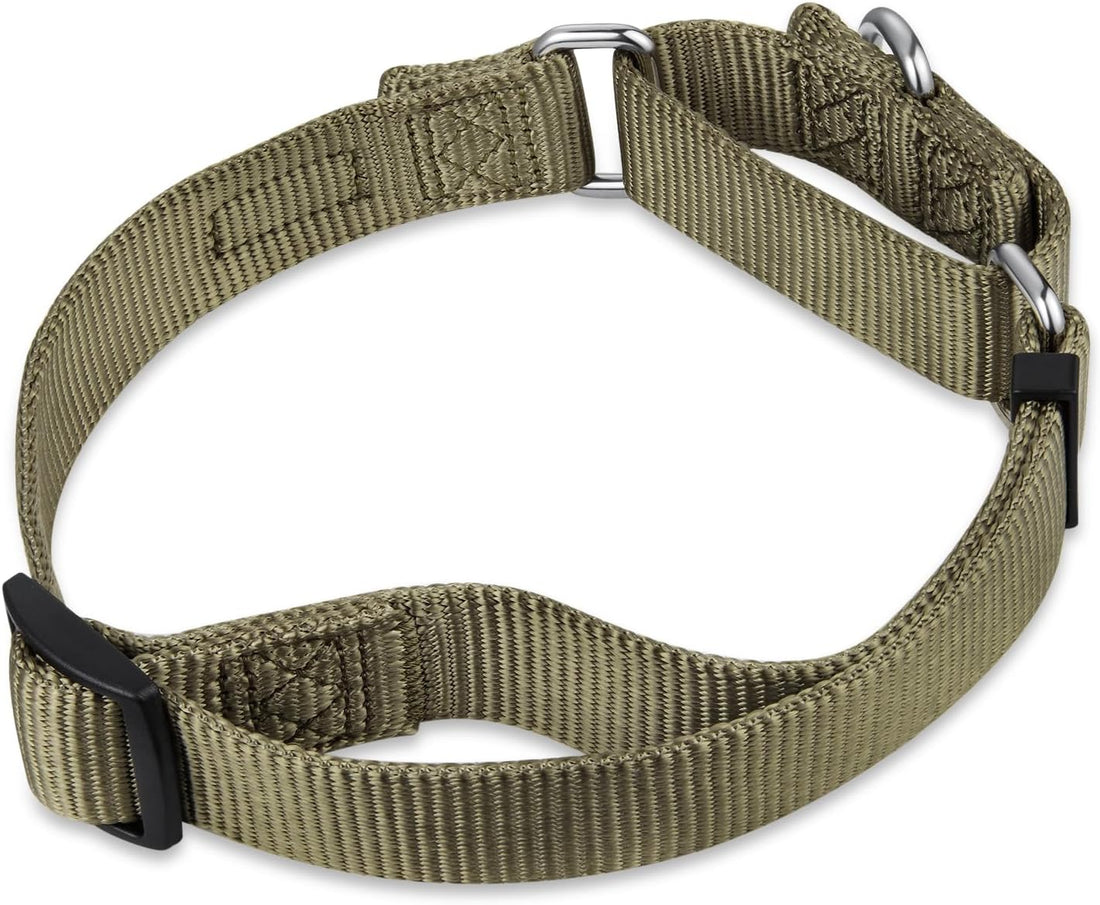 Hyhug Martingale Collar for Dogs Large Green |Escape