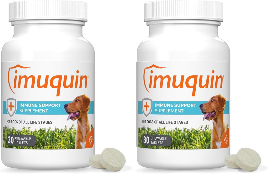 Nutramax Immune Support Supplement for Dogs, Chewable
