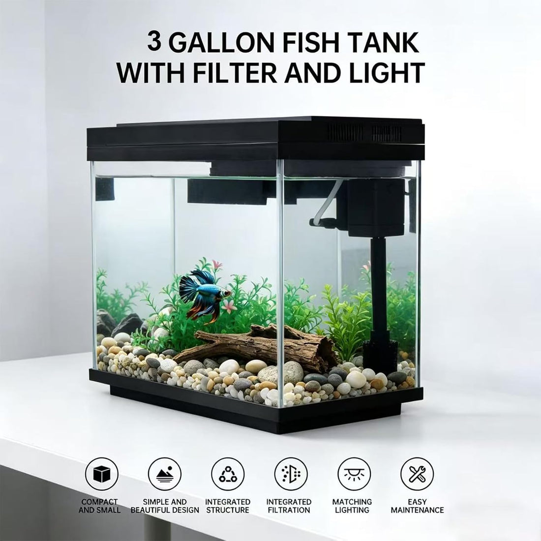 3 Gallon Fish Tank with Filter and Light