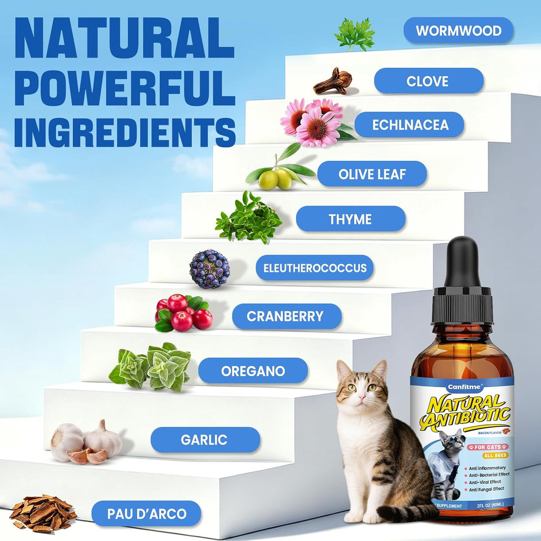 Cat Antibiotic for Infections, UTIs, Respiratory Moments, Cold