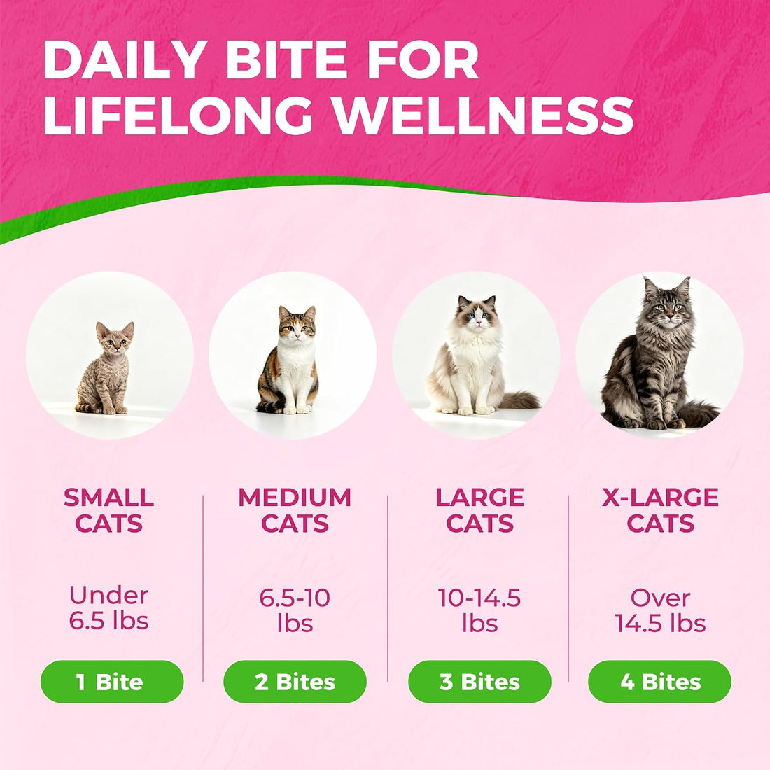 Cat Skin & Coat Supplement with Real Fish Oil & Krill Oil