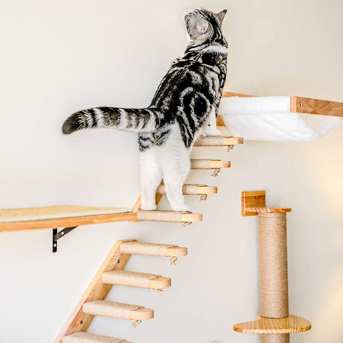 FUKUMARU Wall Mounted Cat Hammock
