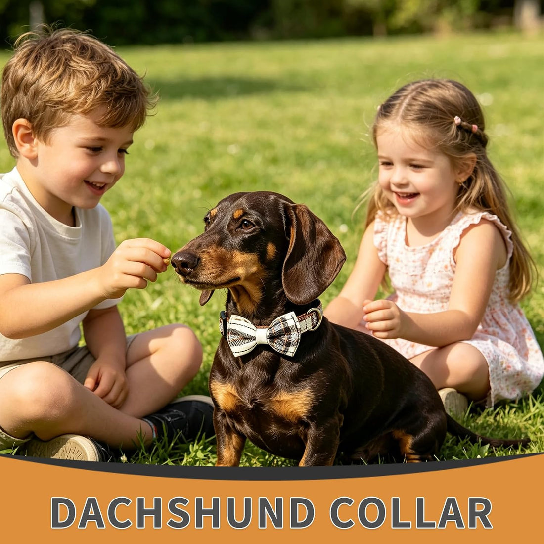 Dachshund Collar with Detachable Bow Tie