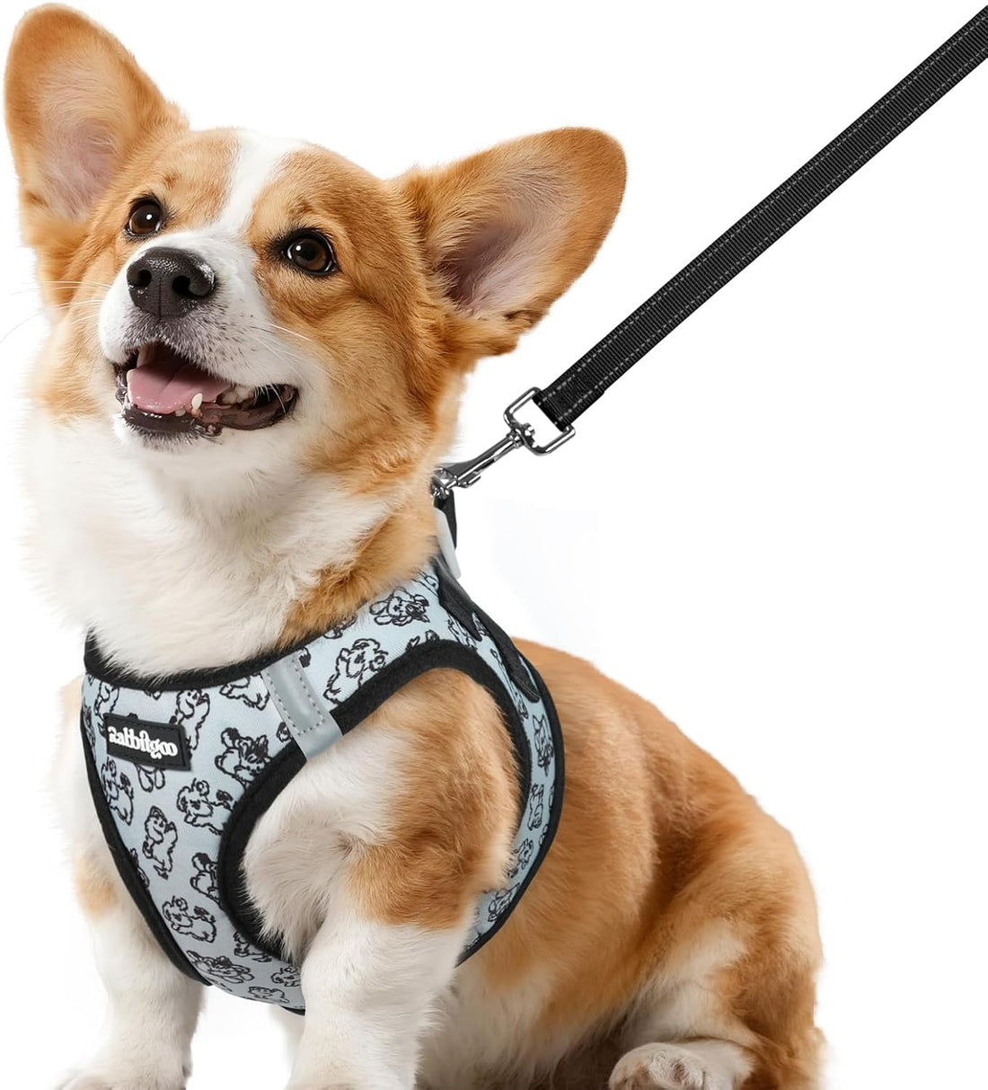 rabbitgoo Dog Harness Small Sized and Leash Set, Step in Soft Vest
