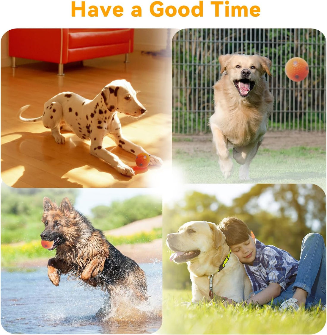 ptlsy Automatic Dog Ball Launcher Interactive Puppy Pet Ball Indoor