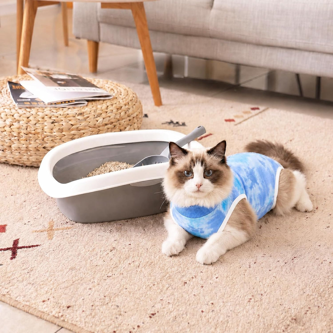 Cat Surgery Recovery Suit, Kitten Surgical Onesie After Spay