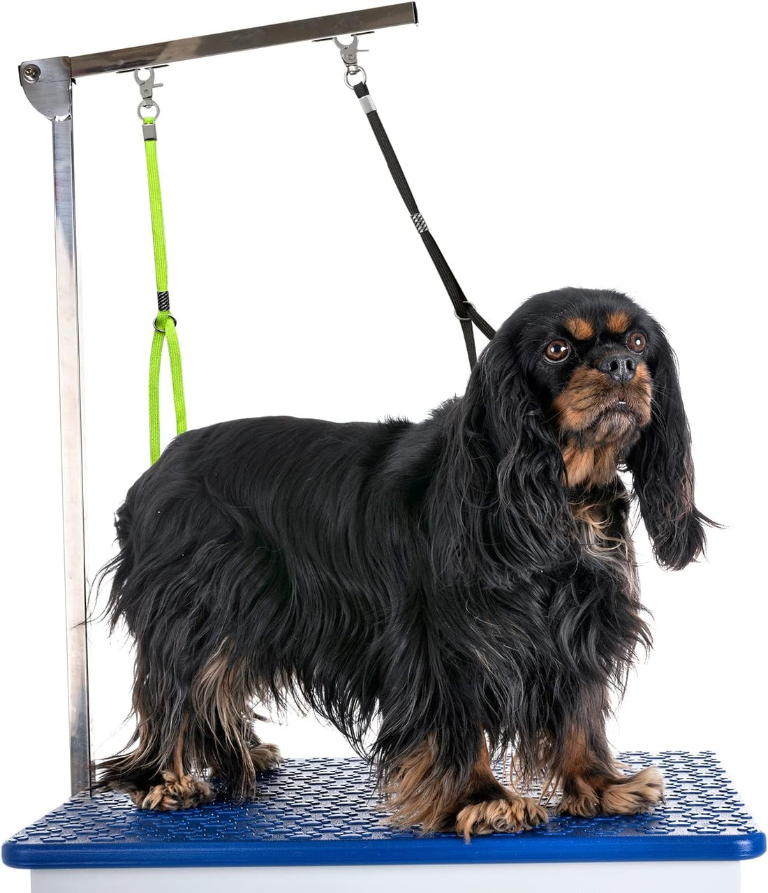 Pet Dog Grooming Loop Adjustable Grooming Noose Sling for Grooming