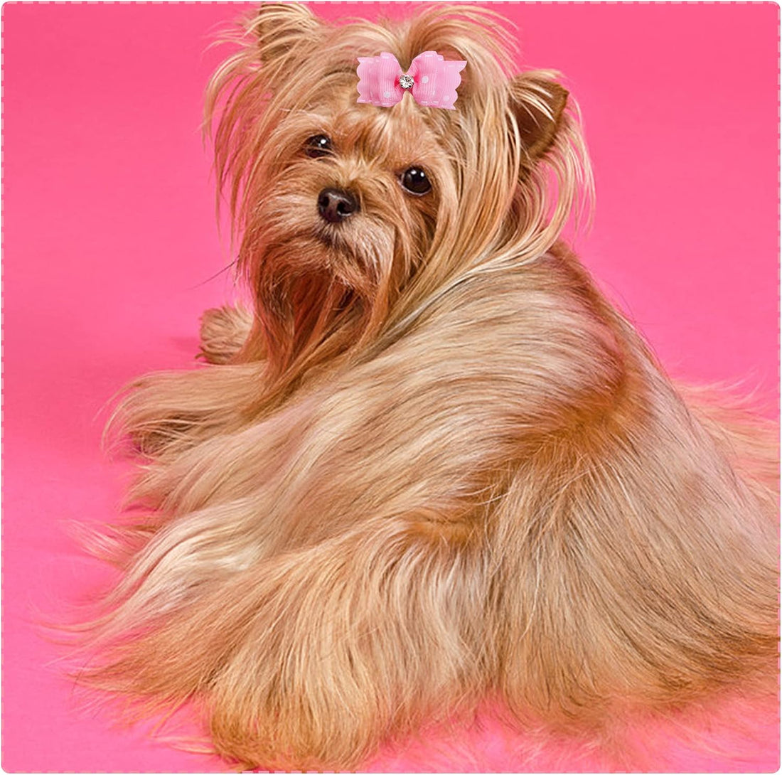 PET SHOW Mixed Styles Pet Cat Puppy Topknot Small Dog Hair Bows