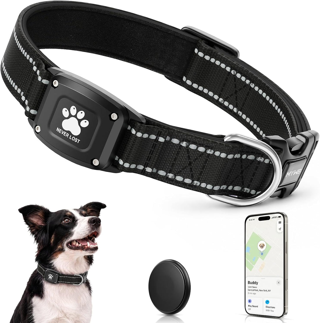 GPS Dog Collar with Tracker, Waterproof, No Monthly Fee, Blue, L