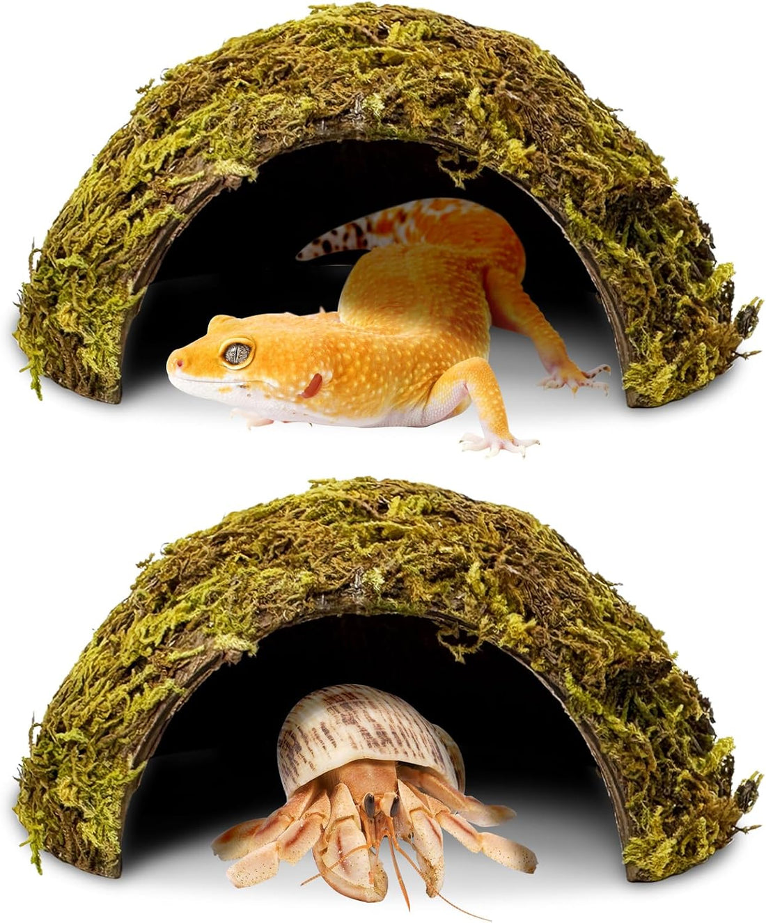 PINVNBY 2 PCS Natural Coconut Reptile Hideouts Lizard Coco Hut Hermit