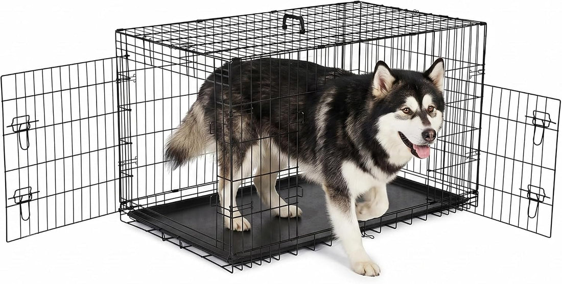 Portable Single Door Dog Crate